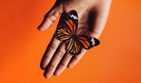 Palliative care